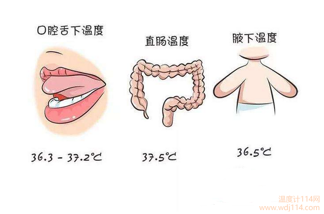 紅外線溫度計測哪較準？