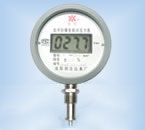 防爆溫度計GG81-WSS-100-B